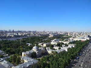 виды