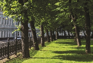 Фото здания