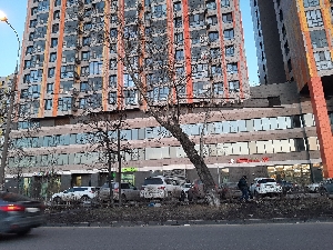 Фото здания