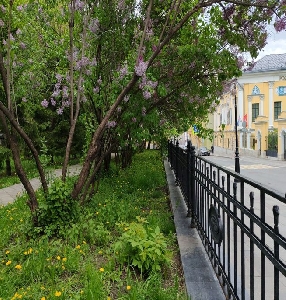 Фото здания