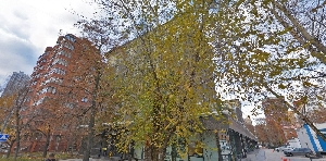 Фото здания