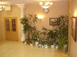 Фото здания